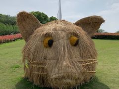 -东方绿舟景区