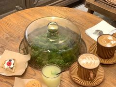 -自由生长植物工作室(深港花卉中心店)