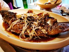 罾蹦鲤鱼-津菜典藏河西店(水上店)