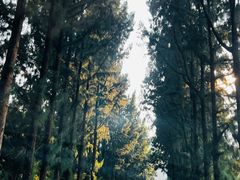 -闽粤南澳总镇府