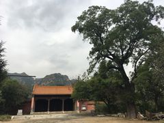 -康陵正德春饼宴26号