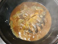 -肥鱼屯活鱼锅(惠工街店)