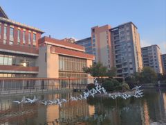 -梧桐人家中国太平国际健康颐养社区