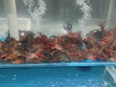 -颐千海味渔小馆(大三元街店)