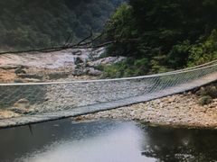 -燕子河大峡谷天坑仙境