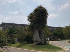 -南通洲际绿博园