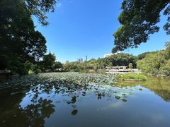 -人民公园(罗湖区)