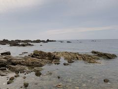 -养马岛旅游度假区