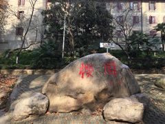 -武汉大学-樱园