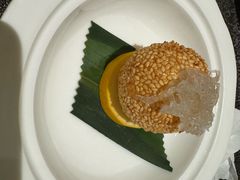 -新同乐鱼翅酒家(美丽华店)