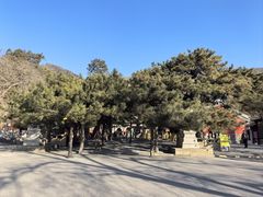 -潭柘寺景区
