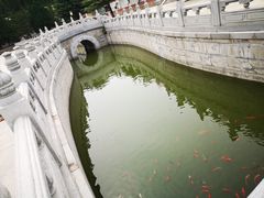 -龙口南山旅游景区