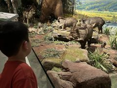 -陕西自然博物馆