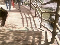 -梁野山景区