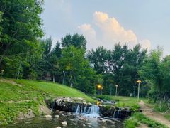 -长白岛森林公园