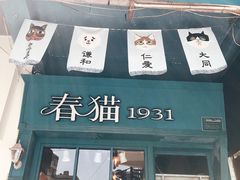 -猫咪博物馆(顶澳仔猫街店)