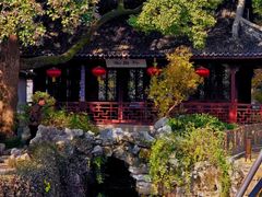 -上海醉白池公园