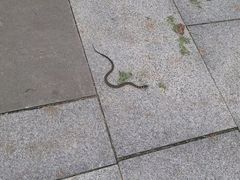 -长白岛森林公园