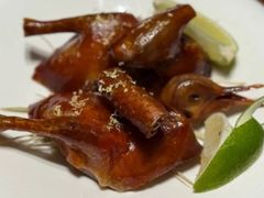 -觅唐MITONG(鸟巢店)