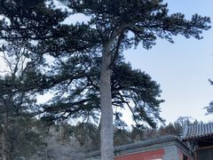 -阳台山自然风景区