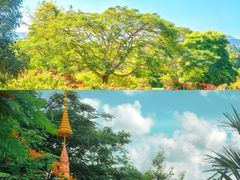 -西双版纳总佛寺