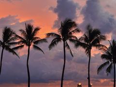 -Sunset Bar(丹绒亚路香格里拉店)