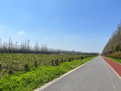 -上海长兴岛郊野公园