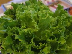 -杨记齐齐哈尔烤肉(总店)