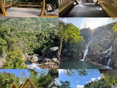 -海南霸王岭国家森林公园