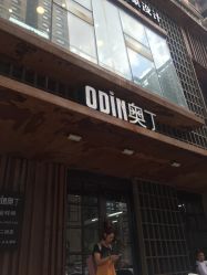 -ODIN 奥丁形象设计 