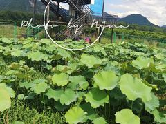 -九屋西岭生态度假景区