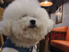 -星巴克(南宁民歌湖店)