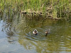-元大都城垣遗址公园