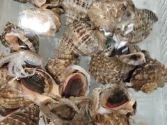 -山海经·海边人家 海鲜新青岛菜(扬州路店)