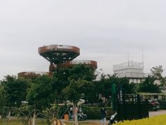-芒洲湿地公园