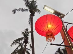 -万绿园