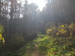-玉泉威虎山森林公园