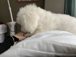 -哈颜科技轻美·