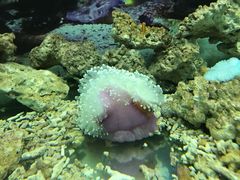 -泉州海丝野生动物世界