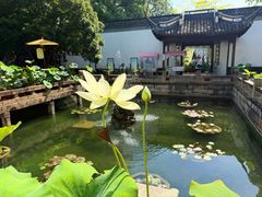 -上海醉白池公园