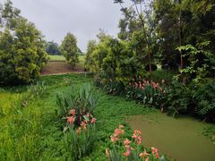 -张坝桂圆林公园