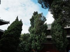 -报恩寺(平武县)