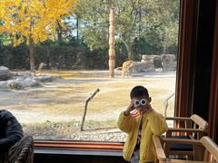 -上海野生动物园老虎餐厅