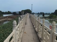 -东方巨龟苑景区