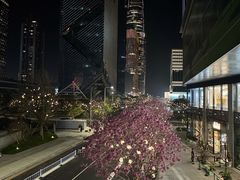 -深圳湾万象城(南山店)