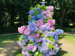 -上海共青森林公园