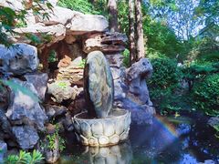 -上海醉白池公园