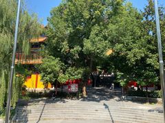 -宝通禅寺