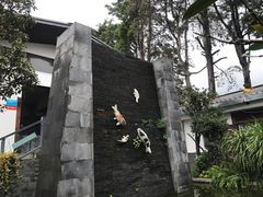 -瑞丰园庭院餐厅·白族传统家常菜