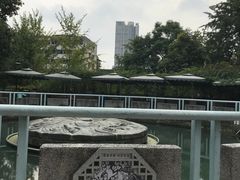 -成都市活水公园